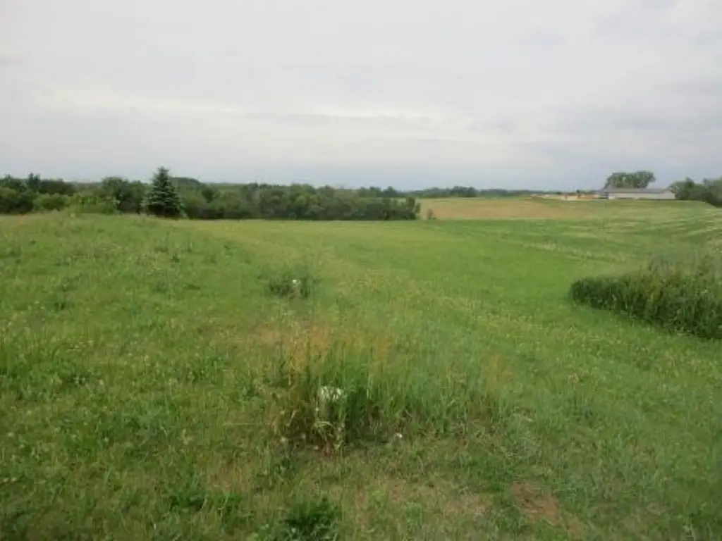 Picture 7