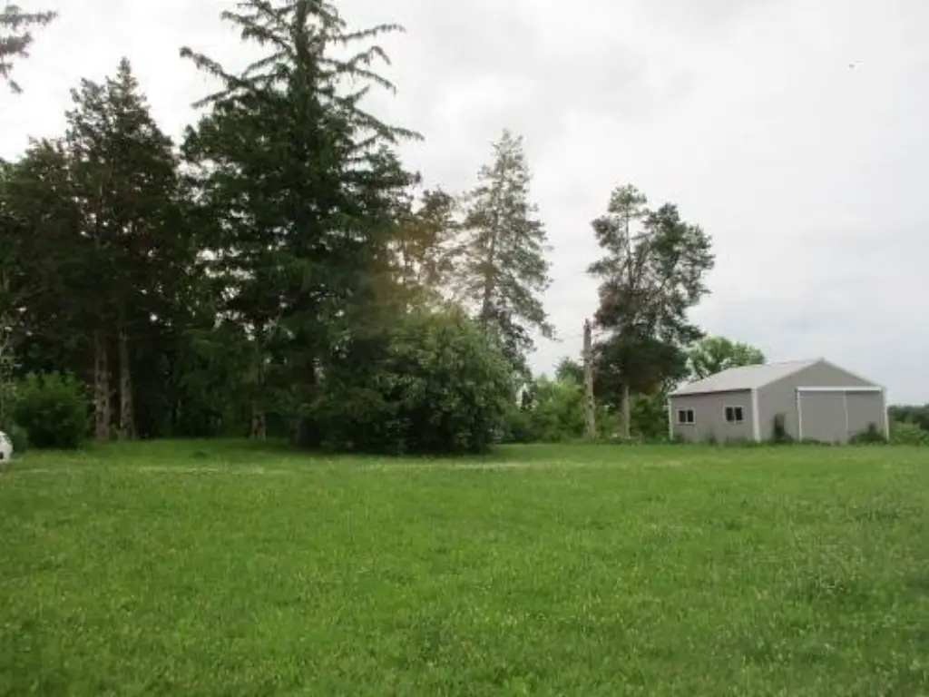 Picture 3