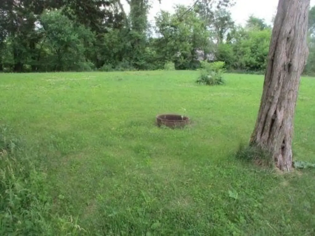 Picture 6