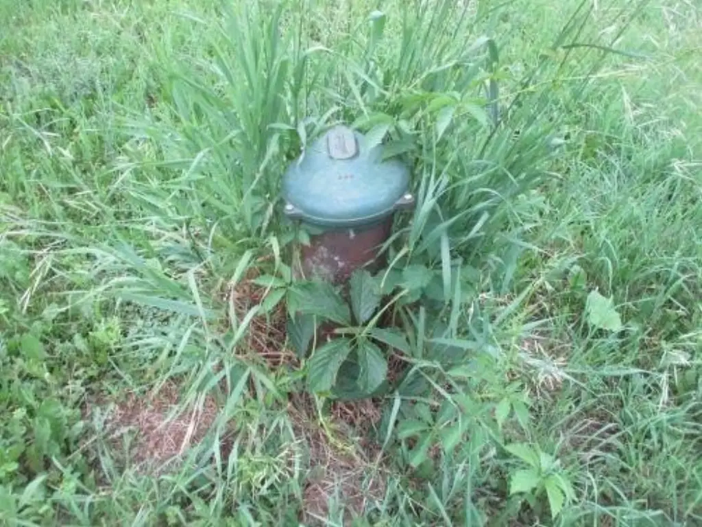Picture 4