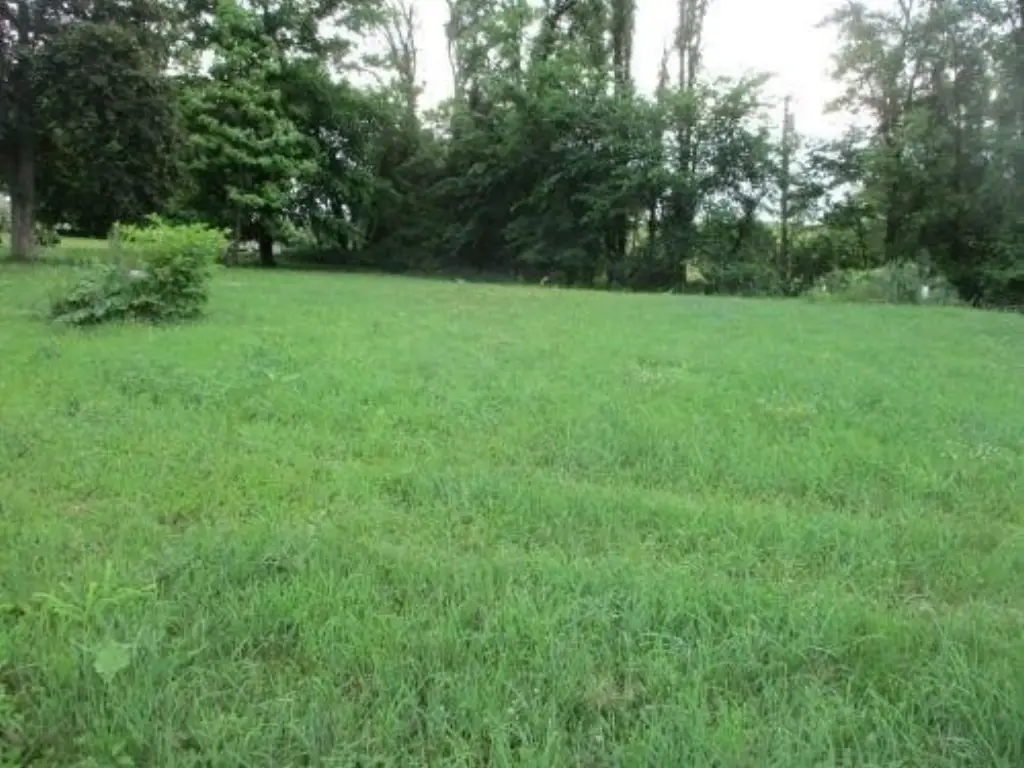 Picture 11