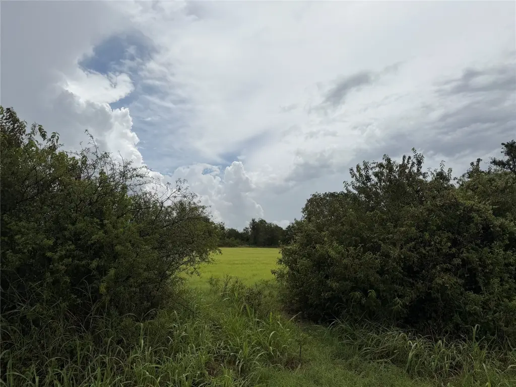 Picture 13