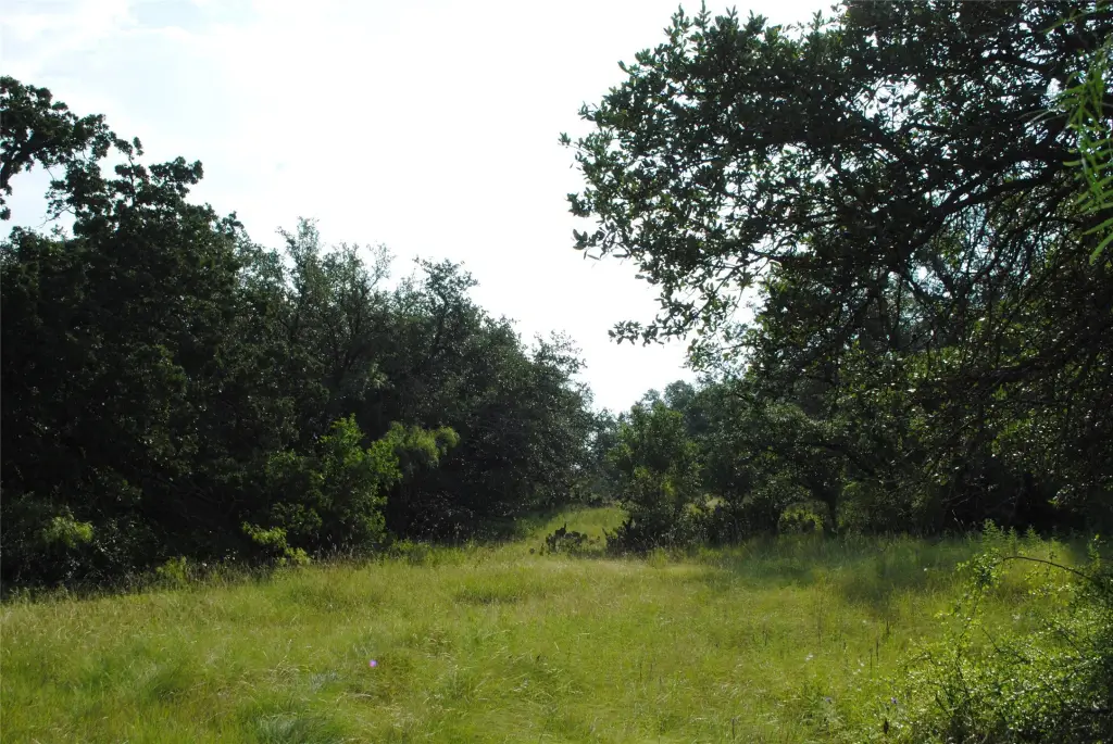 Picture 10