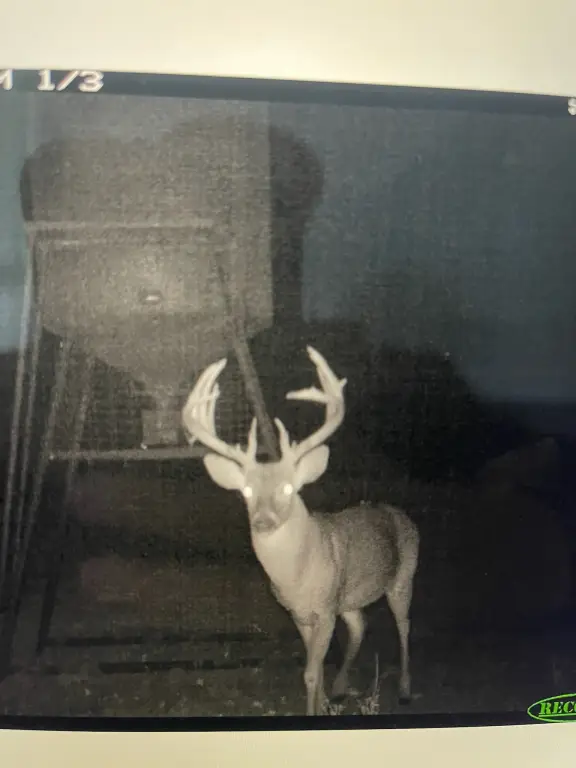 Picture 19