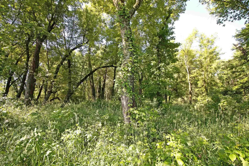 Picture 17