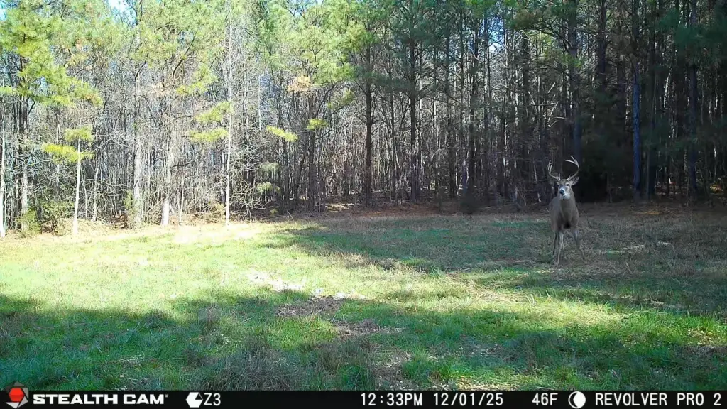 Picture 5
