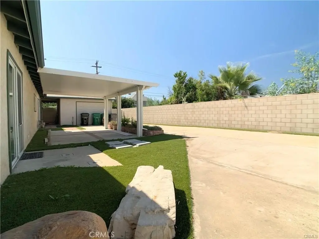 Picture 11