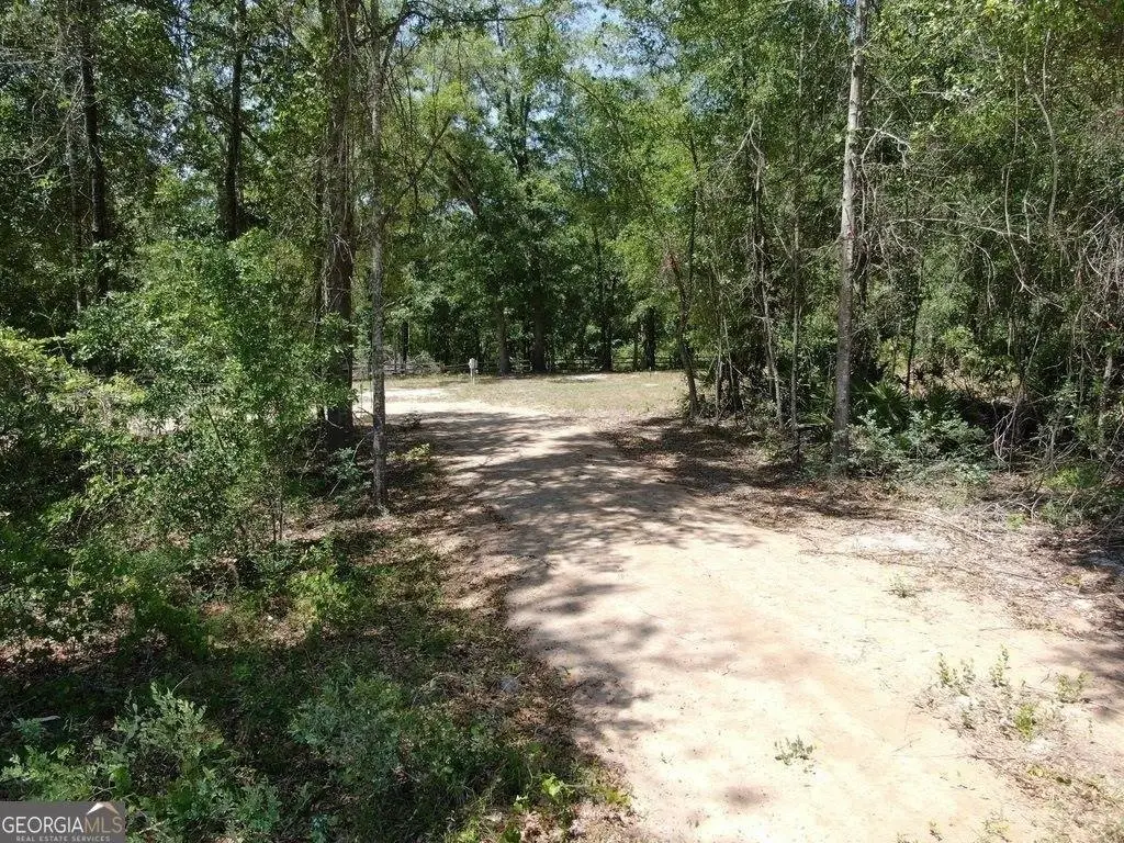 Picture 14