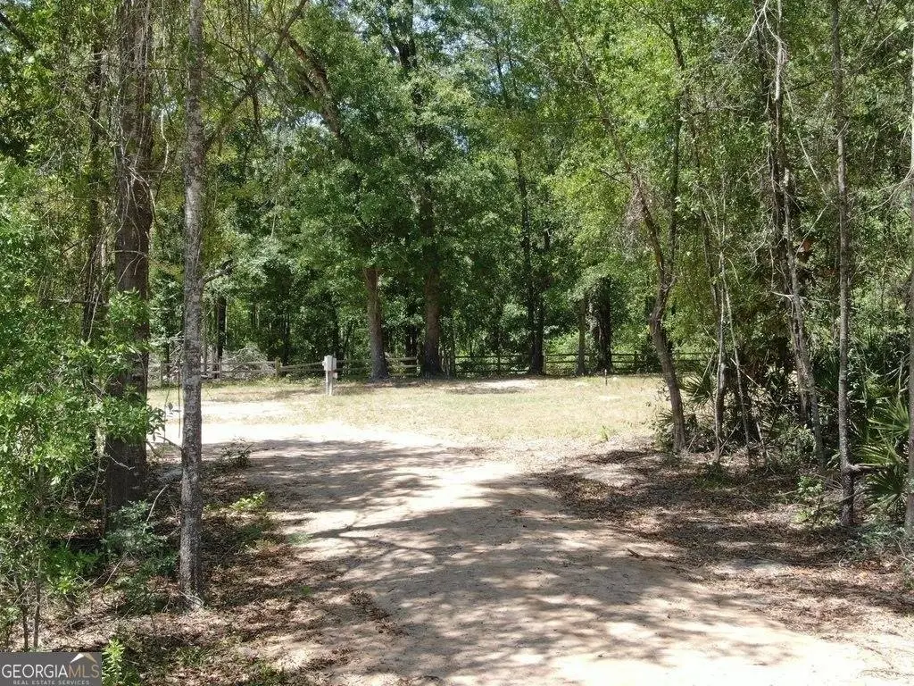 Picture 15