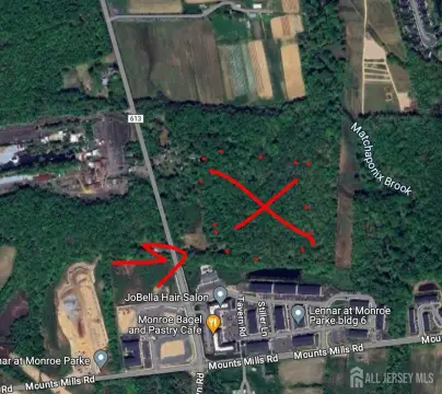 Expansive Land Parcel in Monroe