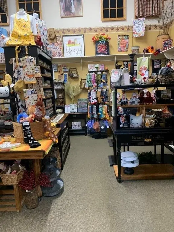 Picture 29