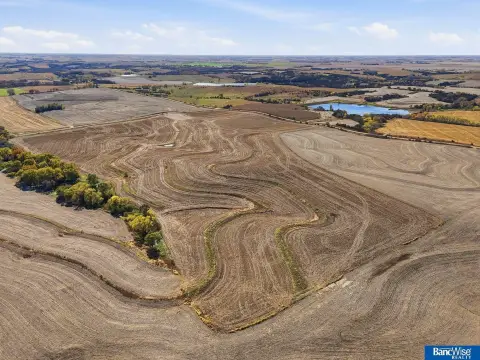 Productive Cropland Farm For Sale