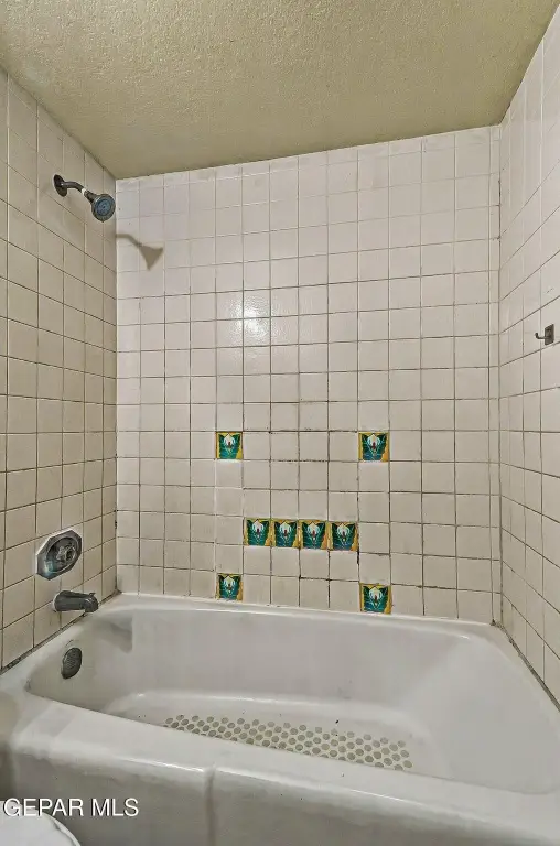 Picture 24