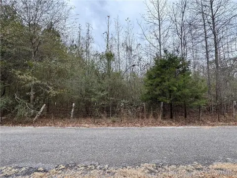 Unrestricted Land in Centreville, AL