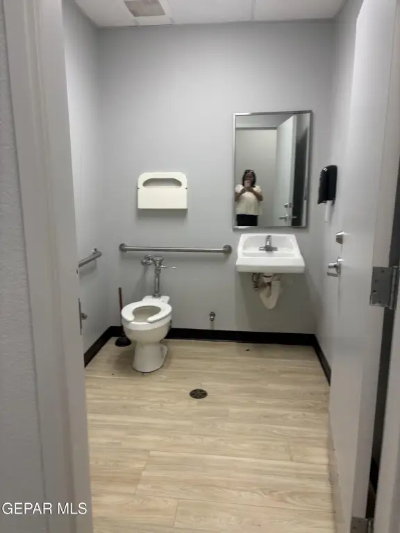 Picture 23