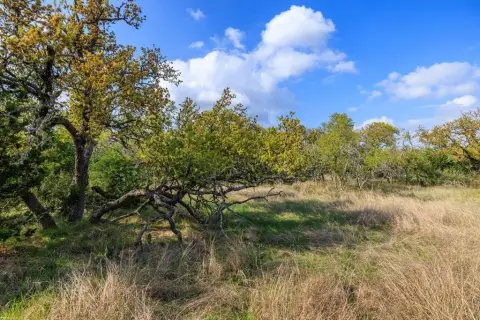 Hill Country Acreage For Sale