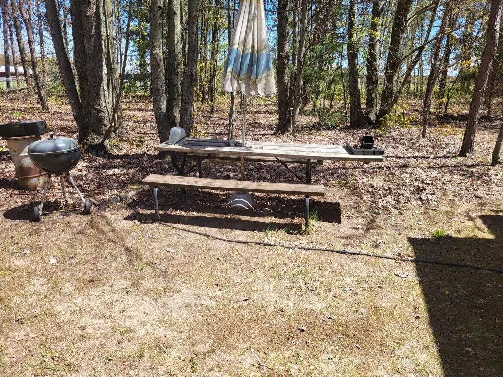 Picture 13