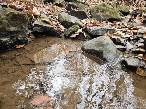 Rock WV Vacant Mountain Land