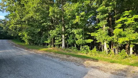 Wooded Lot in Established Neighborhood