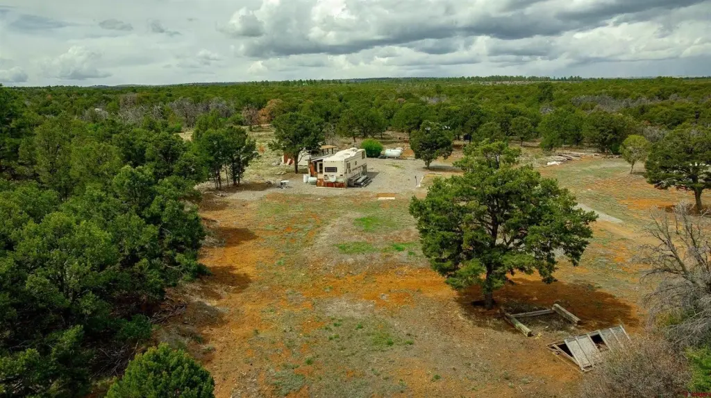 Picture 25