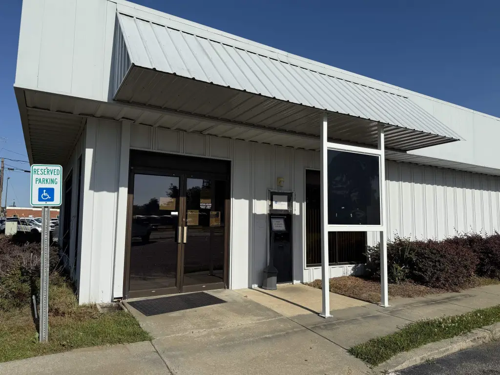 Picture 5