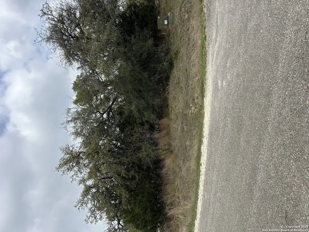 Picture 3