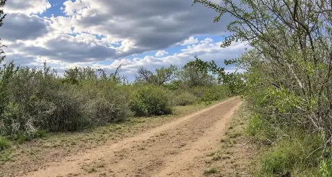 South Texas Hunting Land