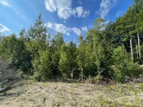 Wooded Land Near Crawford Lake