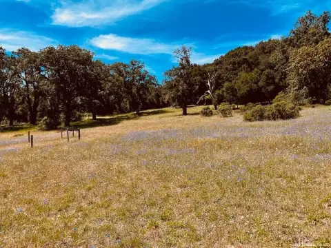 Santa Lucia Preserve Land Parcel