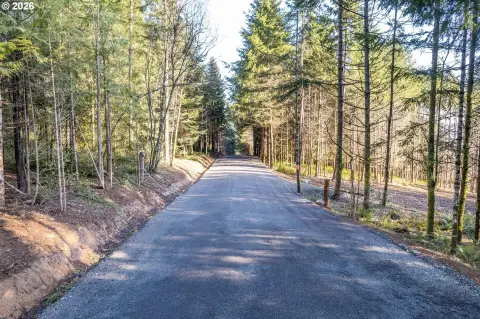 Longview Land with Columbia River View