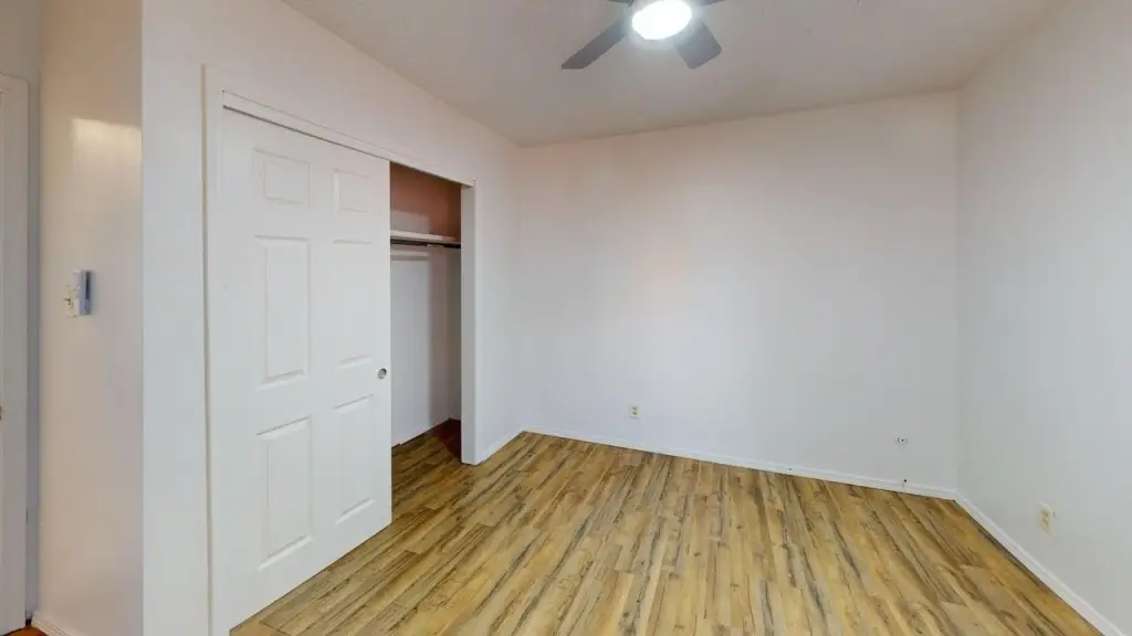 Picture 11