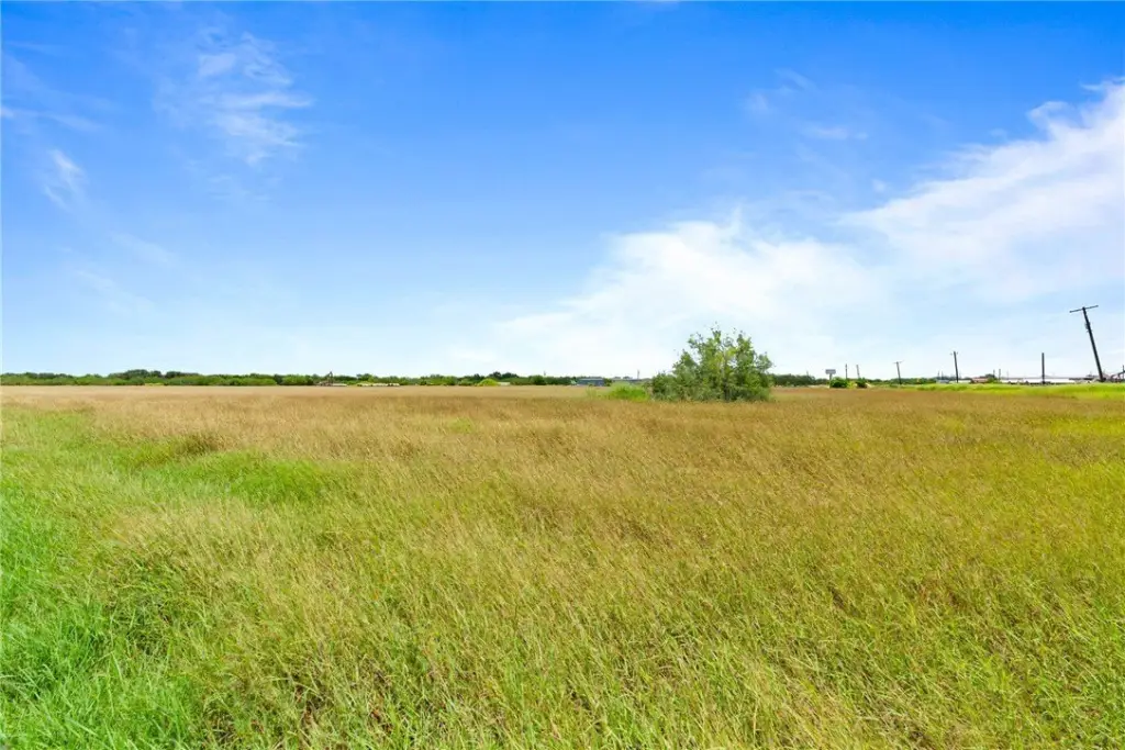 Picture 6