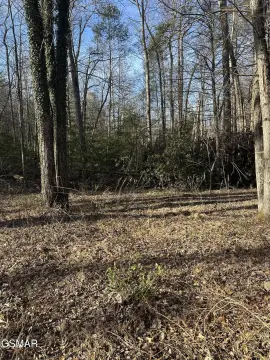 Cosby, TN Wooded Lot