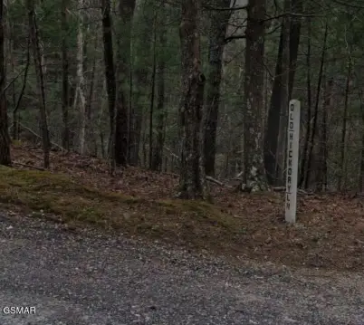 Wooded Land in Coker Creek