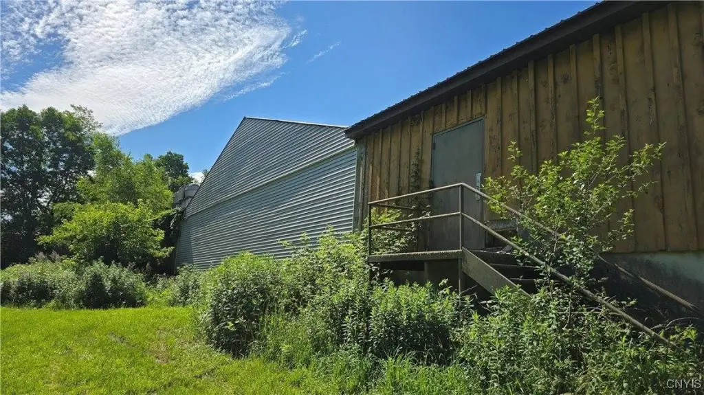 Picture 5