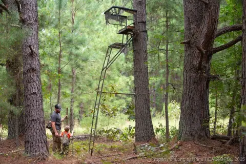 Laurinburg Land: Hunting and Retreat