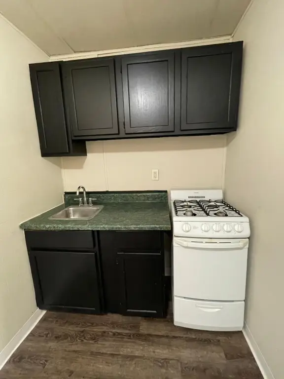 Picture 12