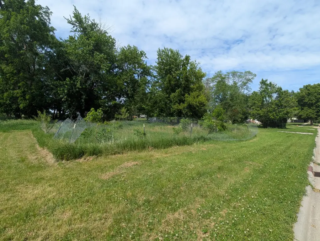 Picture 6