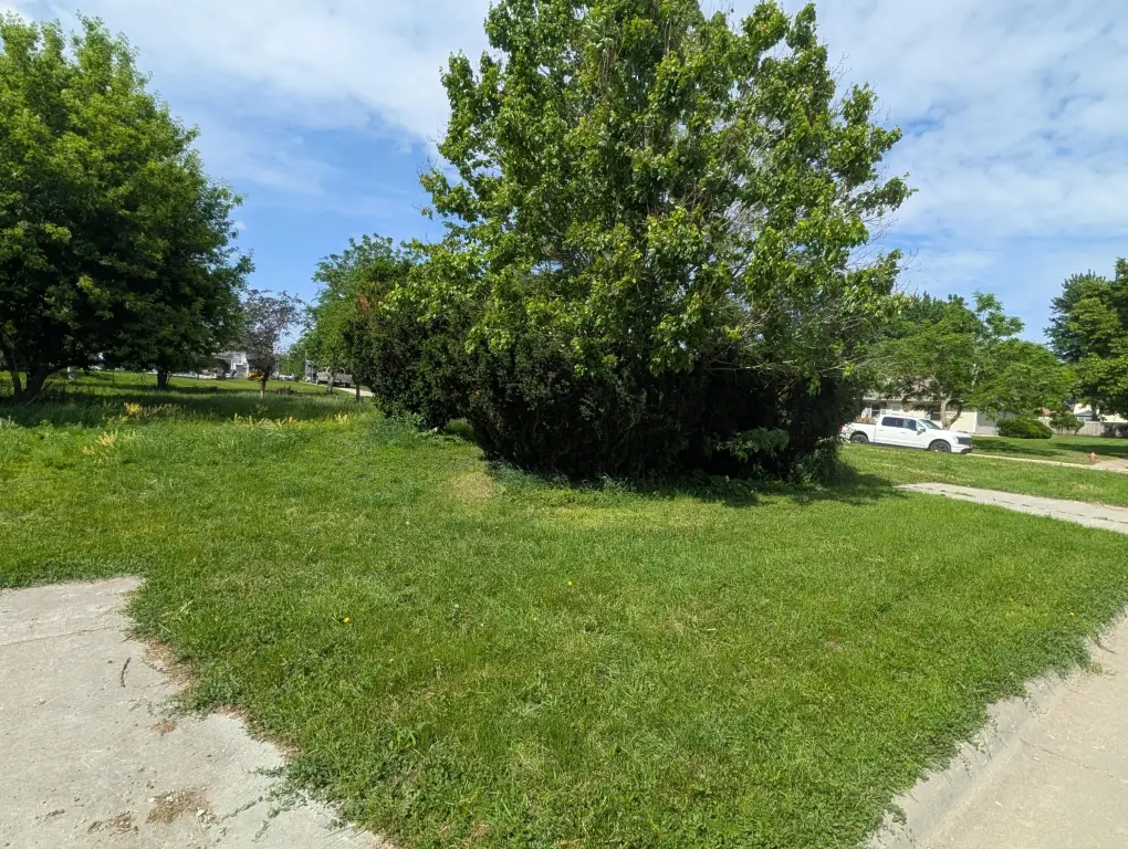 Picture 4