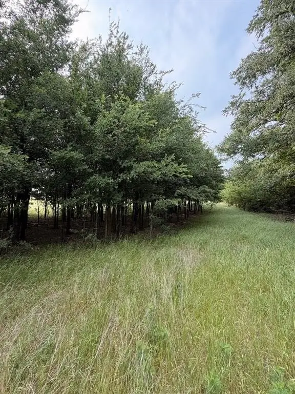 Picture 11