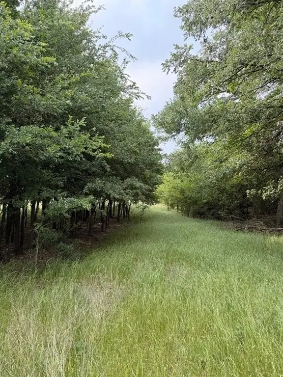 Picture 13