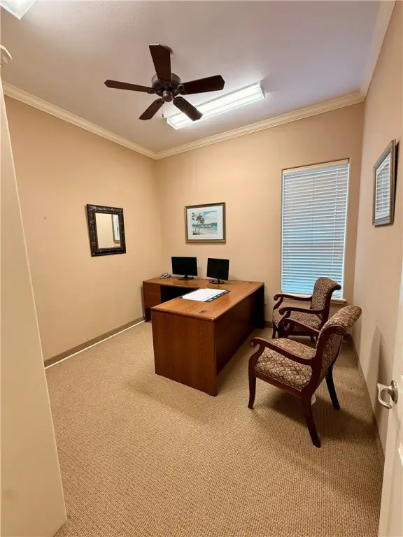 Picture 21