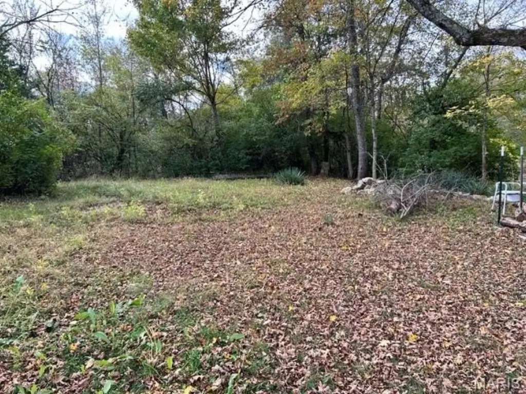 Picture 2