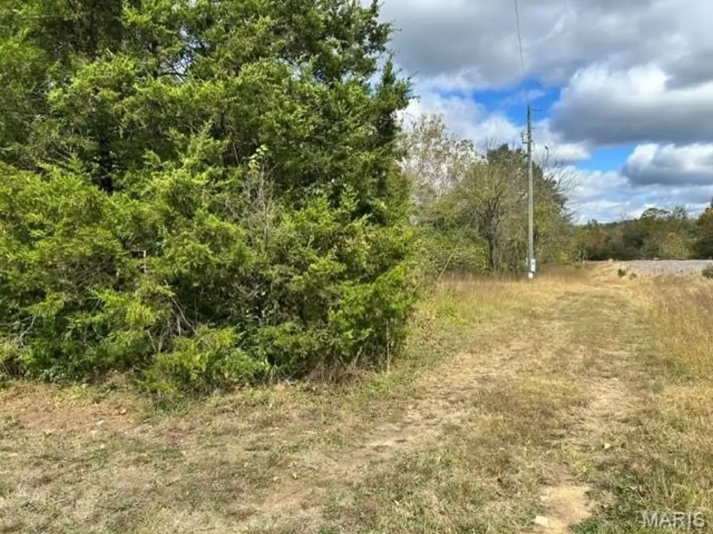 Picture 16