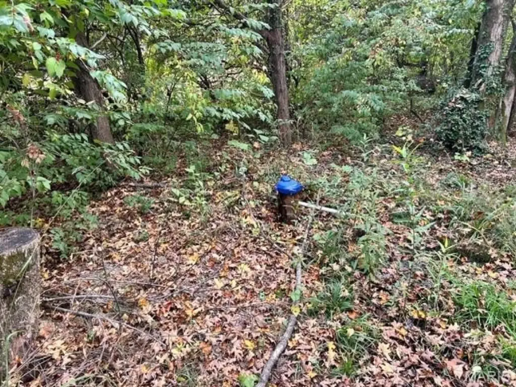 Picture 10