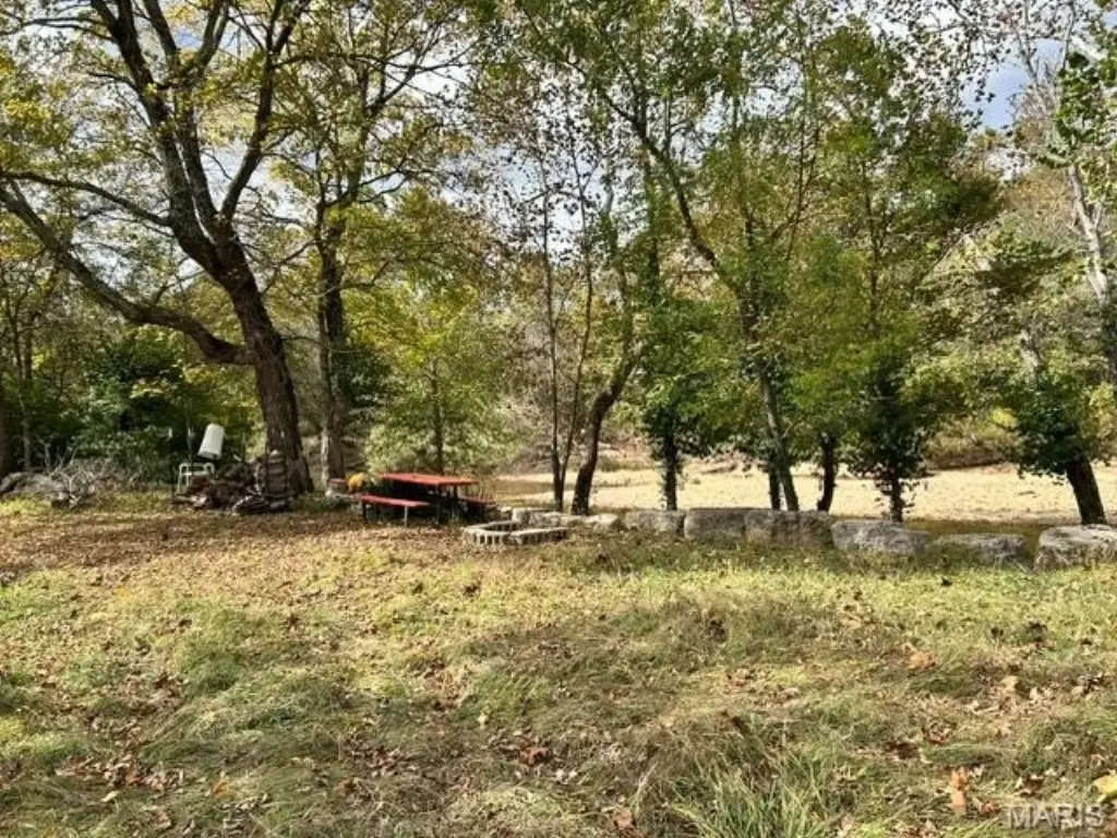 Picture 12