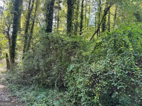 Residential Land in Clayton, GA