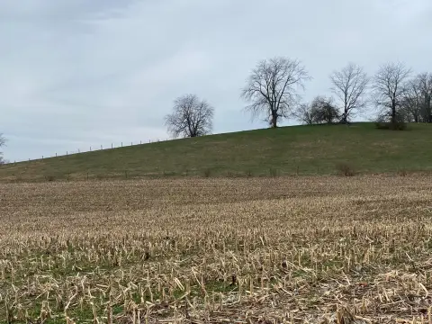 140 Acres in Laurelville, OH