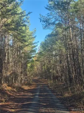 Land with Camp House