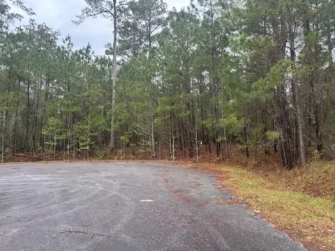 Residential Lots in Bainbridge, GA